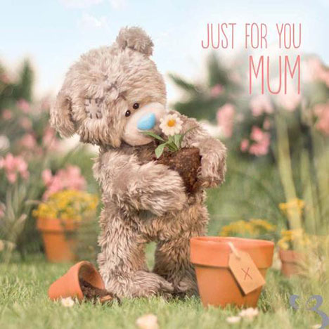 3D Holographic Mum Just For You Me to You Bear Mothers Day Card £2.99